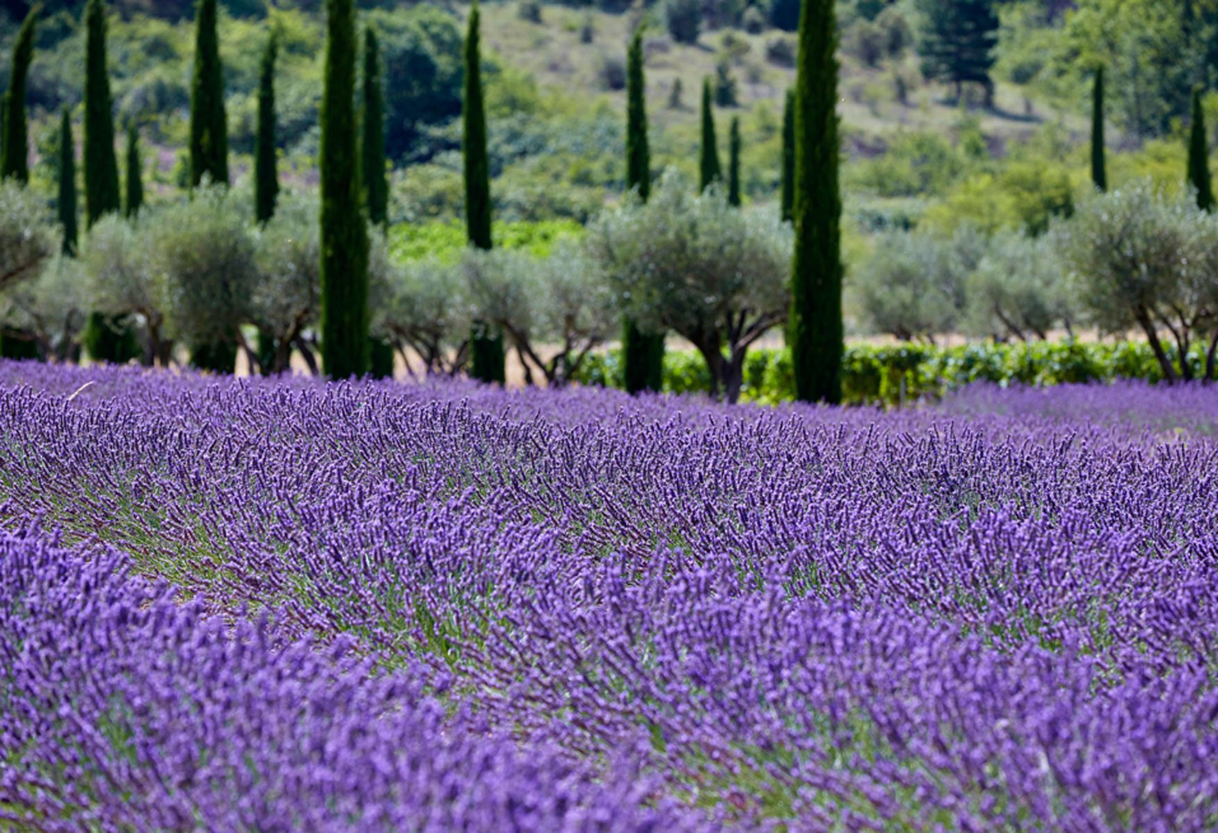 Les Andéols | Boutique hotel in the Luberon